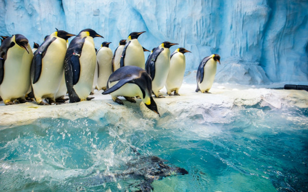 澳門珠海三日兩夜行程。圖片來源:澳門特別行政區政府旅遊局、小紅書@羅小萌萌萌、小紅書@蛋撻就愛吃睡、Trip..com、小紅書@悠行的珊珊紫、小紅書@M&G、小紅書@西江月