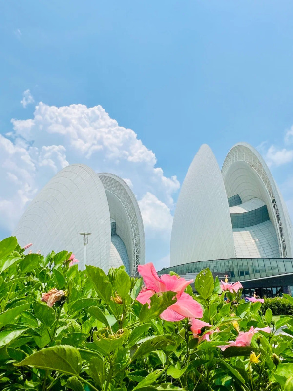 澳門珠海三日兩夜行程。圖片來源:澳門特別行政區政府旅遊局、小紅書@羅小萌萌萌、小紅書@蛋撻就愛吃睡、Trip..com、小紅書@悠行的珊珊紫、小紅書@M&G、小紅書@西江月