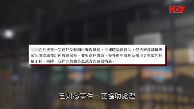樂富超市變「老鼠樂園」啃咬食物 專家：已成它們安全藏身之所