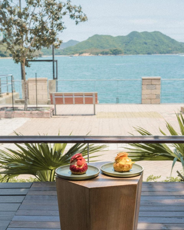 （圖片：Turtle by the Sea Facebook）