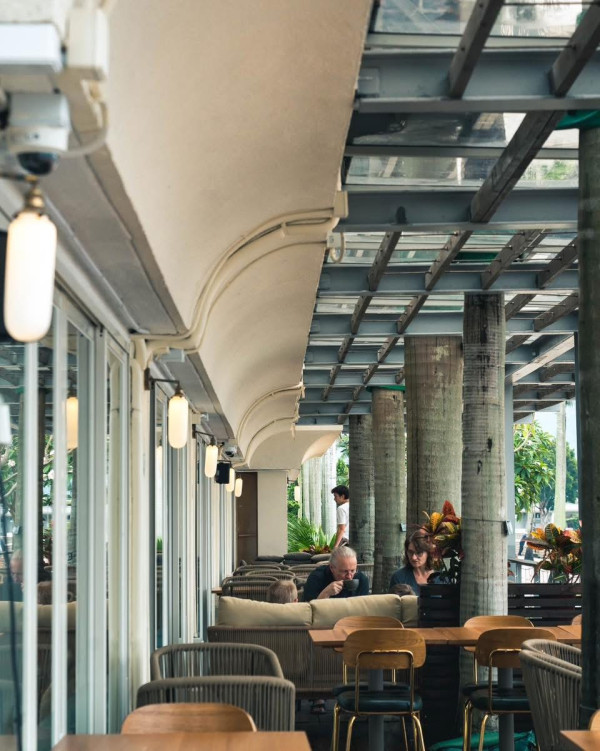 （圖片：Turtle by the Sea Facebook）