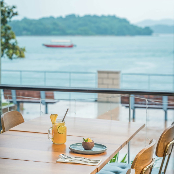 （圖片：Turtle by the Sea Facebook）