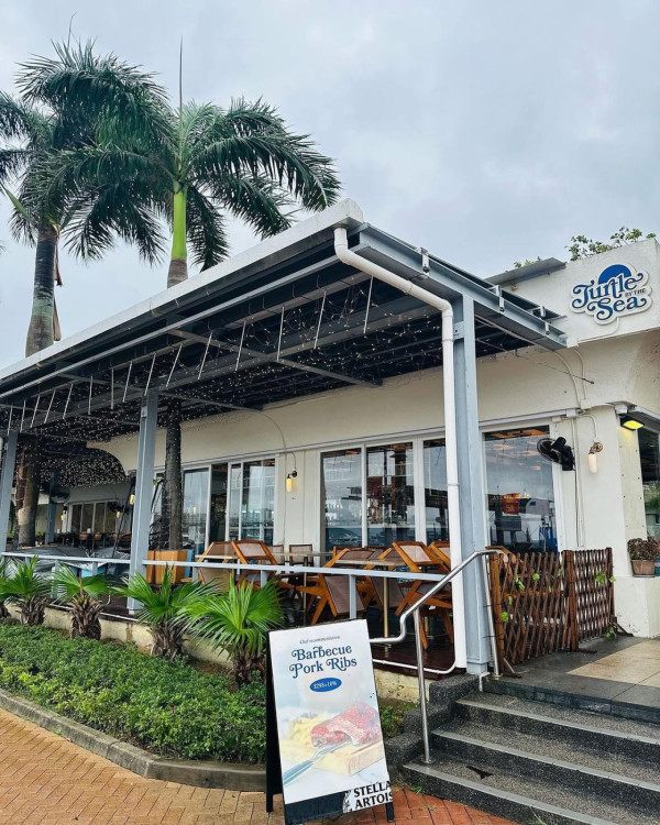 （圖片：Turtle by the Sea Facebook）