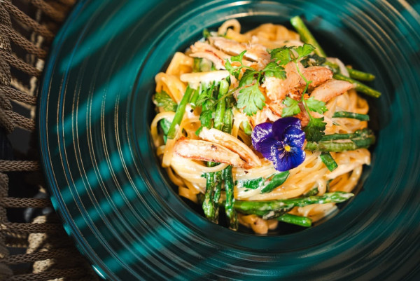 （圖片：Turtle by the Sea Facebook）