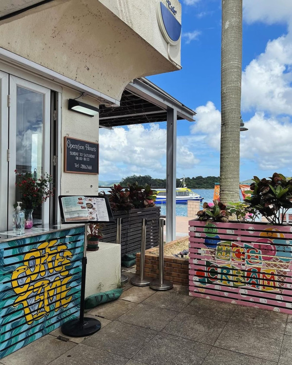 （圖片：Turtle by the Sea Facebook）