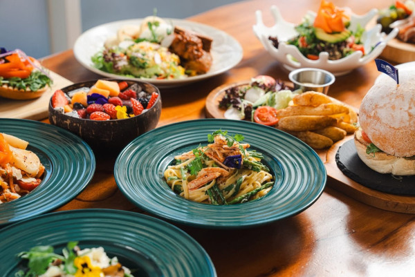 （圖片：Turtle by the Sea Facebook）