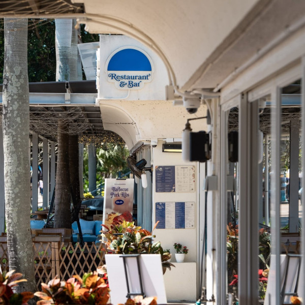 （圖片：Turtle by the Sea Facebook）