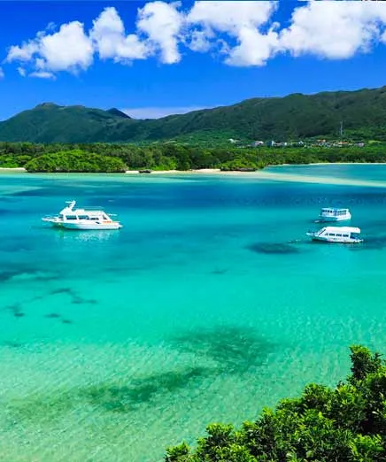 沖繩潛水悲劇！教練與遊客受困30米深洞罹難 揭潛水必知保命安全貼士 