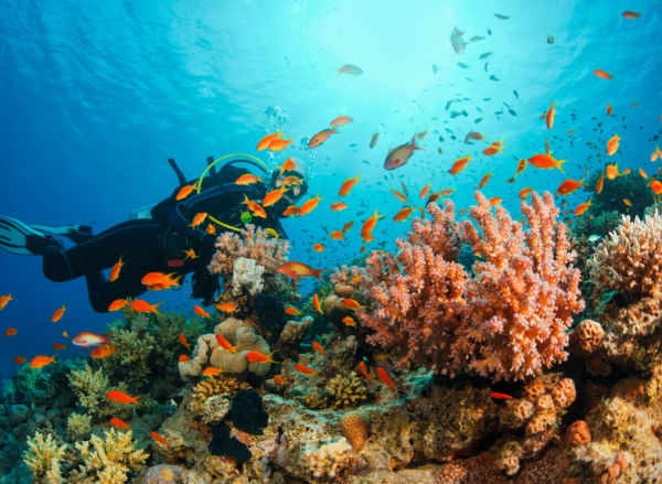 沖繩潛水悲劇！教練與遊客受困30米深洞罹難 揭潛水必知保命安全貼士 