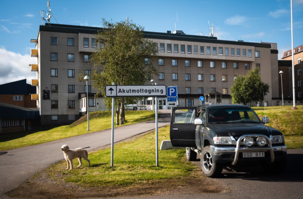 內地客瑞典摘蘑菇集體中毒險死！致命品種疑「白毒鵝膏」醫生驚呼罕見 