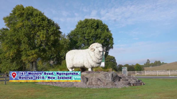 《新西蘭潮什麼》玩樂景點合集！梁芷珮挑戰Bungy Swing歎火山泥漿浴 