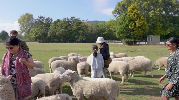 《新西蘭潮什麼》玩樂景點合集！梁芷珮挑戰Bungy Swing歎火山泥漿浴 
