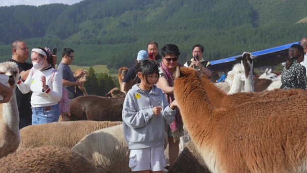 《新西蘭潮什麼》玩樂景點合集！梁芷珮挑戰Bungy Swing歎火山泥漿浴 
