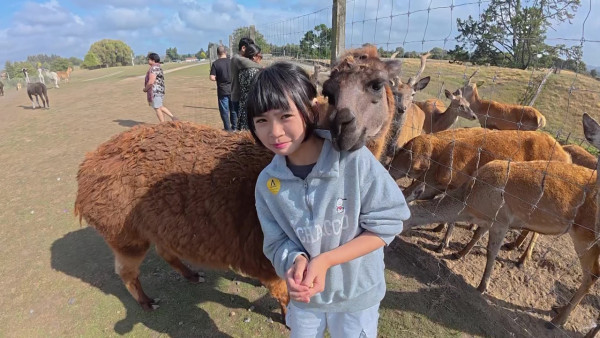 《新西蘭潮什麼》玩樂景點合集！梁芷珮挑戰Bungy Swing歎火山泥漿浴 