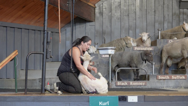《新西蘭潮什麼》玩樂景點合集！梁芷珮挑戰Bungy Swing歎火山泥漿浴 