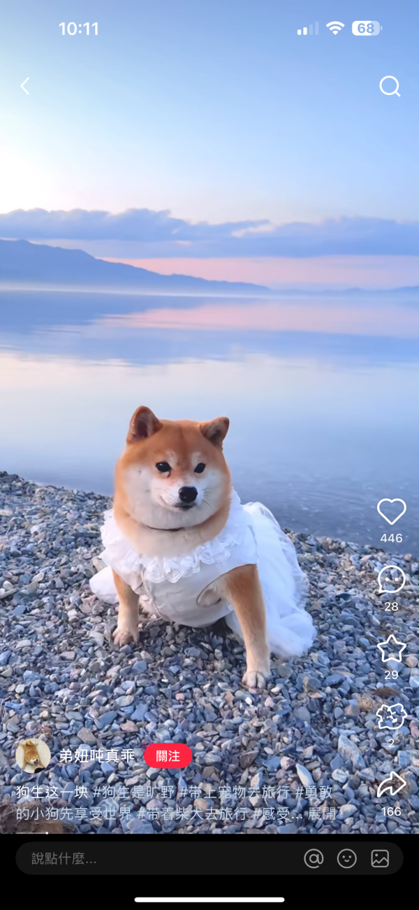 AI figure-寵物圖片製作（圖片︰記者實試截圖、小紅書用戶）