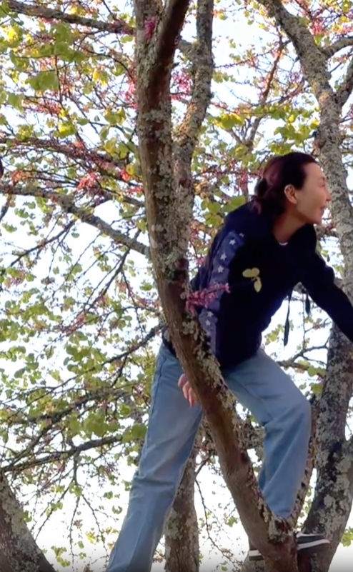 近照皮膚無瑕(圖片來源：小紅書@張曼玉 Maggie）