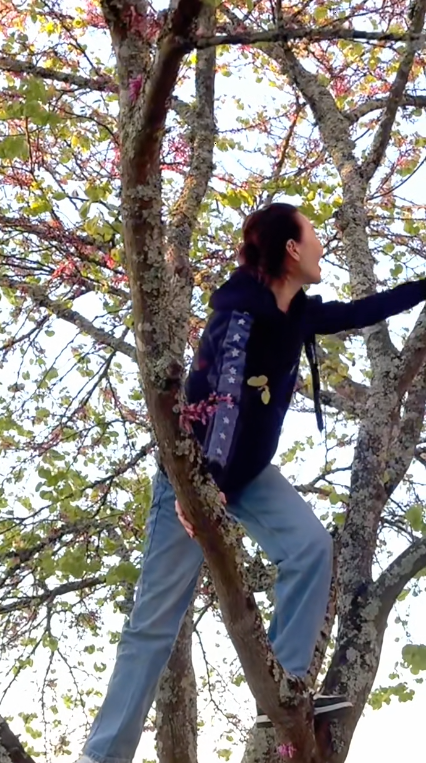 張曼玉60歲爬樹敏捷激罕分享定居法國生活！近鏡皮膚狀態曝光 密謀寫波爾多日記 