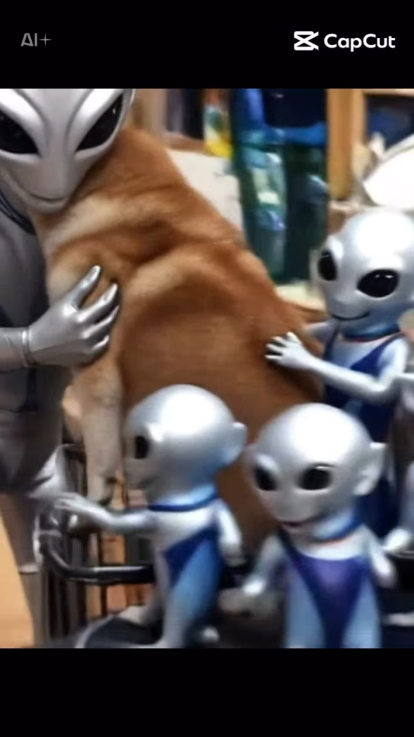 紅遍華語圈「不可以色色」柴犬去世享年17歲 主人心碎製作AI影片悼念 