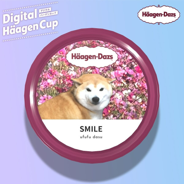 紅遍華語圈「不可以色色」柴犬去世享年17歲 主人心碎製作AI影片悼念 