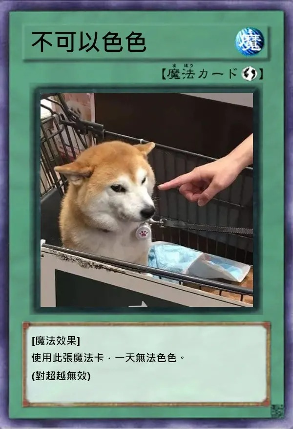 紅遍華語圈「不可以色色」柴犬去世享年17歲 主人心碎製作AI影片悼念 