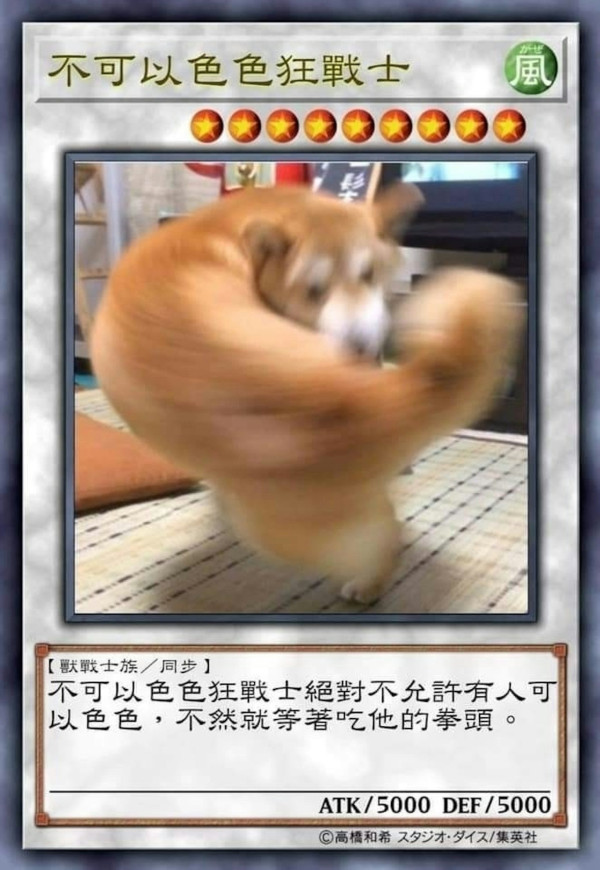 紅遍華語圈「不可以色色」柴犬去世享年17歲 主人心碎製作AI影片悼念 