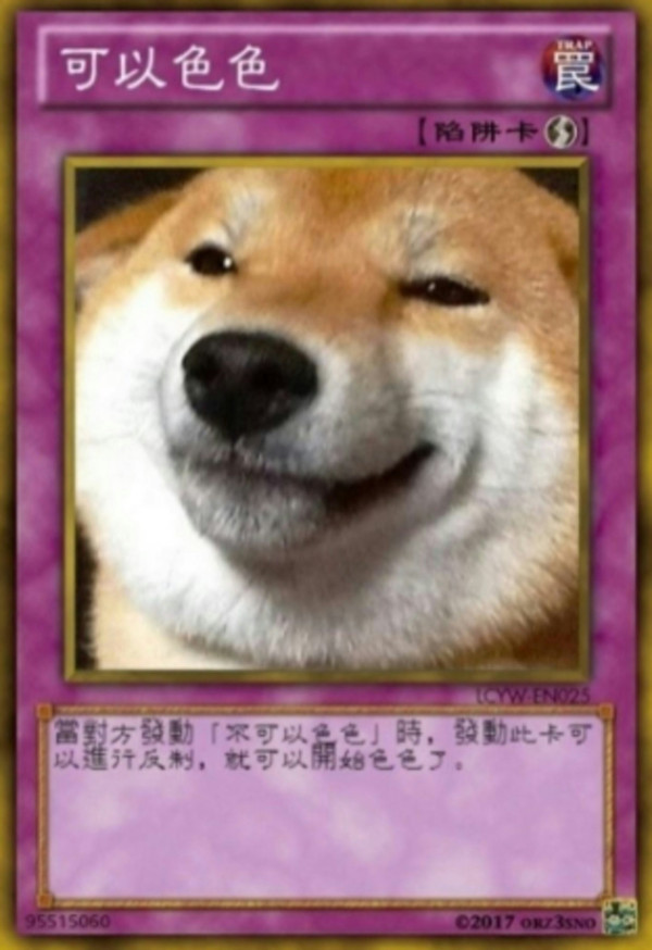 紅遍華語圈「不可以色色」柴犬去世享年17歲 主人心碎製作AI影片悼念 