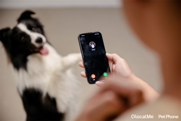 GlocalMe推出寵物智能手機 PetPhone 不止追蹤更實現人寵雙向通話