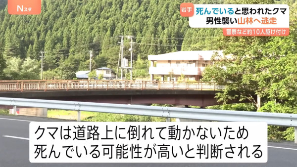 日本熊竟在馬路扮死「翻生」玩突襲！專家都被騙遭咬傷 