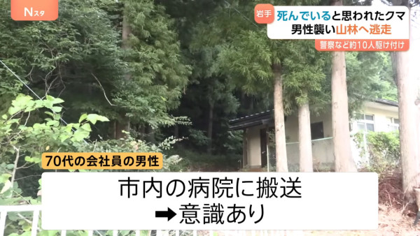 日本熊竟在馬路扮死「翻生」玩突襲！專家都被騙遭咬傷 