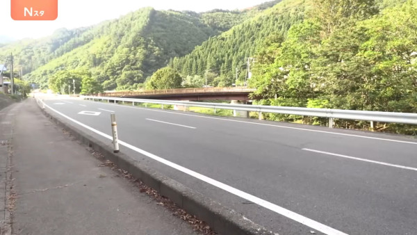 日本熊竟在馬路扮死「翻生」玩突襲！專家都被騙遭咬傷 