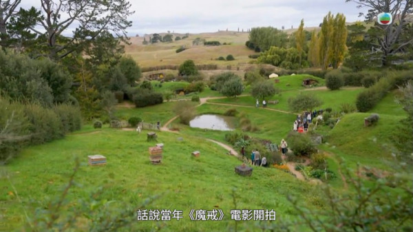 《新西蘭潮什麼》玩樂景點合集！梁芷珮挑戰Bungy Swing歎火山泥漿浴 