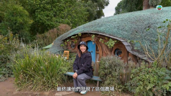 《新西蘭潮什麼》玩樂景點合集！梁芷珮挑戰Bungy Swing歎火山泥漿浴 