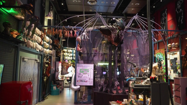 《新西蘭潮什麼》玩樂景點合集！梁芷珮挑戰Bungy Swing歎火山泥漿浴 