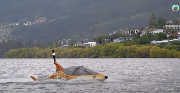 《新西蘭潮什麼》玩樂景點合集！梁芷珮挑戰Bungy Swing歎火山泥漿浴 