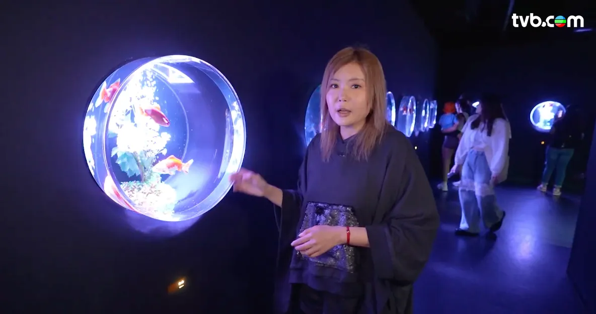 《解風東京2》每集景點行程介紹|必試美食/文青景點/特色酒店