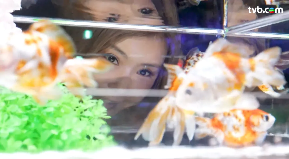 《解風東京2》每集景點行程介紹|必試美食/文青景點/特色酒店