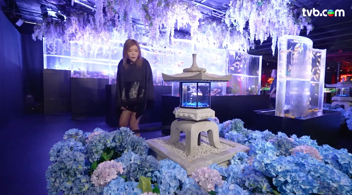 《解風東京2》每集景點行程介紹|必試美食/文青景點/特色酒店