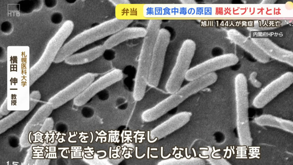 北海道便當集體中毒！144人染病1死 專家提醒煮熟食物也可中招 