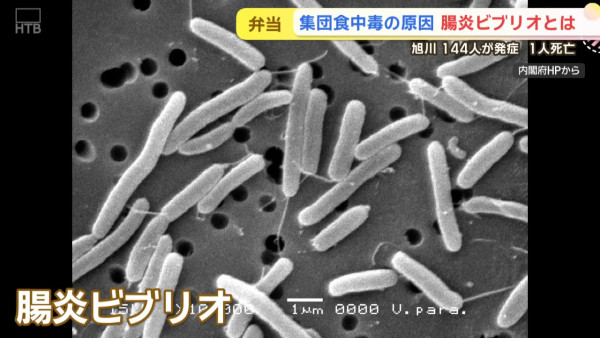 北海道便當集體中毒！144人染病1死 專家提醒煮熟食物也可中招 