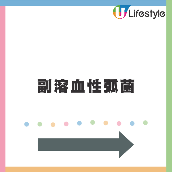 北海道便當集體中毒！144人染病1死 專家提醒煮熟食物也可中招 