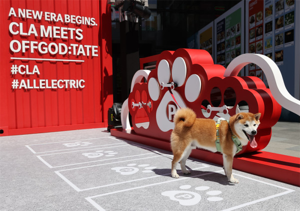 平治x藝術家OFFGOD:TATE AirSide 期間限定 CLA POPUP  展出生物藝術車