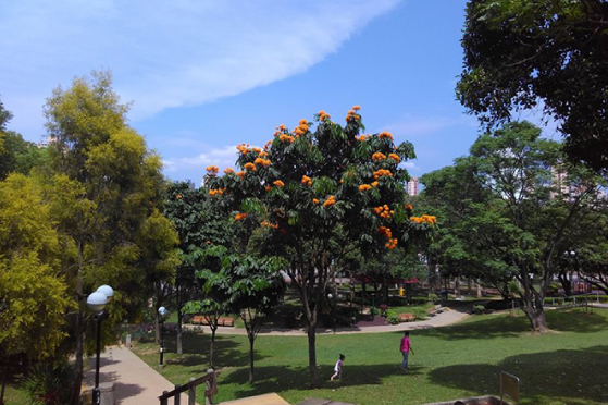 元朗公園（圖片來源︰康文署）