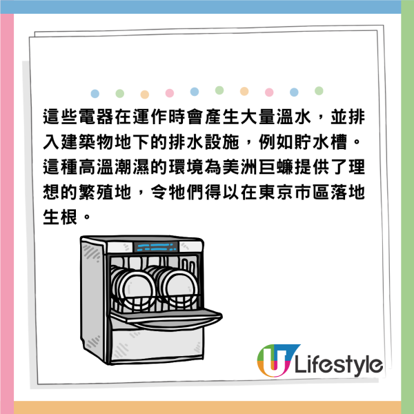 遊日注意!東京新宿街頭驚見老鼠橫行!遊客被老鼠咬傷腳流血足部發黑