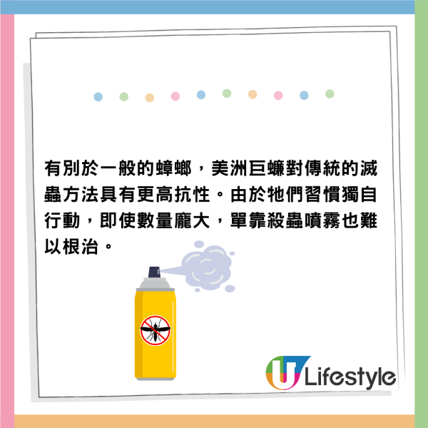 遊日注意!東京新宿街頭驚見老鼠橫行!遊客被老鼠咬傷腳流血足部發黑
