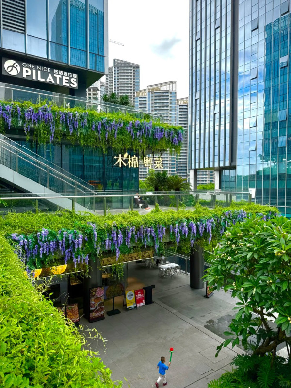 芳華里。圖片來源：小紅書@KK的时光机