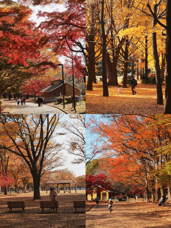 2025東京紅葉預測。圖片來源：fujiyama-navi.jp、sotoasobi、jalan.net、muragon、yamahack、renstablog、discovernippon、jorudan、紫櫻的天空@小紅書、我是夏涼@小紅書、六食@小紅書、金英學@小紅書、ATM.24@小紅書、Mio@小紅書、懶人鞋的吃喝玩樂@小紅書、熹愉徐@小紅書、啾醬_@小紅書、不辣的皮特@小紅書