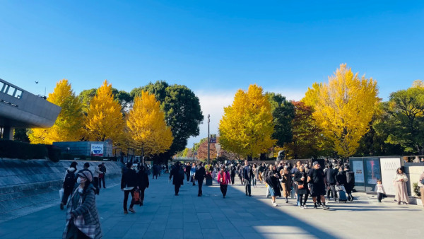 2025東京紅葉預測。圖片來源：fujiyama-navi.jp、sotoasobi、jalan.net、muragon、yamahack、renstablog、discovernippon、jorudan、紫櫻的天空@小紅書、我是夏涼@小紅書、六食@小紅書、金英學@小紅書、ATM.24@小紅書、Mio@小紅書、懶人鞋的吃喝玩樂@小紅書、熹愉徐@小紅書、啾醬_@小紅書、不辣的皮特@小紅書