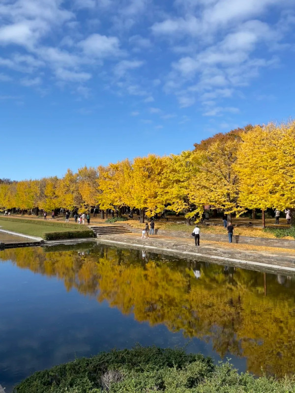 2025東京紅葉預測。圖片來源：fujiyama-navi.jp、sotoasobi、jalan.net、muragon、yamahack、renstablog、discovernippon、jorudan、紫櫻的天空@小紅書、我是夏涼@小紅書、六食@小紅書、金英學@小紅書、ATM.24@小紅書、Mio@小紅書、懶人鞋的吃喝玩樂@小紅書、熹愉徐@小紅書、啾醬_@小紅書、不辣的皮特@小紅書