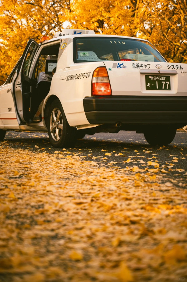 2025東京紅葉預測。圖片來源：fujiyama-navi.jp、sotoasobi、jalan.net、muragon、yamahack、renstablog、discovernippon、jorudan、紫櫻的天空@小紅書、我是夏涼@小紅書、六食@小紅書、金英學@小紅書、ATM.24@小紅書、Mio@小紅書、懶人鞋的吃喝玩樂@小紅書、熹愉徐@小紅書、啾醬_@小紅書、不辣的皮特@小紅書